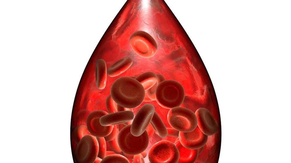 bluter.gif Hämophilie