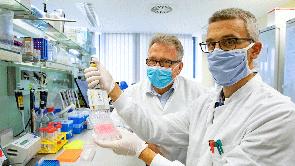 newsimage342363.gif Antikörpertest