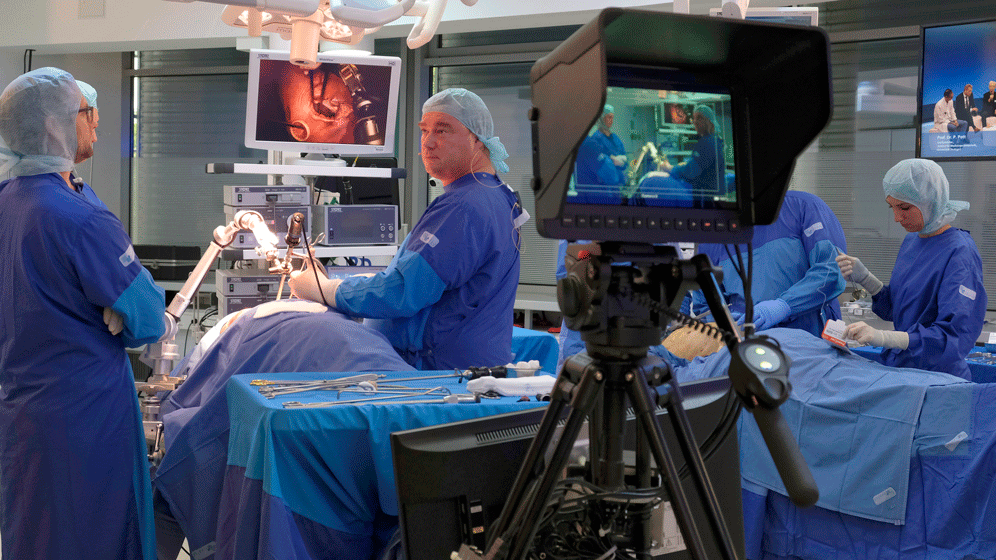 STERN_PI290_Anatomie.gif Tablet