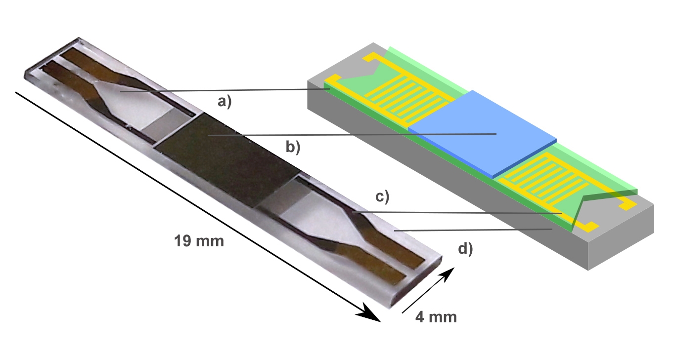 schematischer_Aufbau_des_Sensors_aus_einem_magnetostriktiven_Dünnfilm_auf_piezoelektrischen_Substrat_SFB_1261.jpg schematischer Aufbau des Sensors