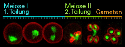 newsimage283340.jpg newsimage283340.jpg