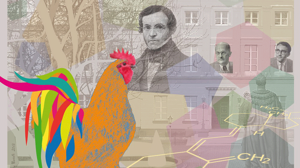 logo_1000.gif Endokrinologie