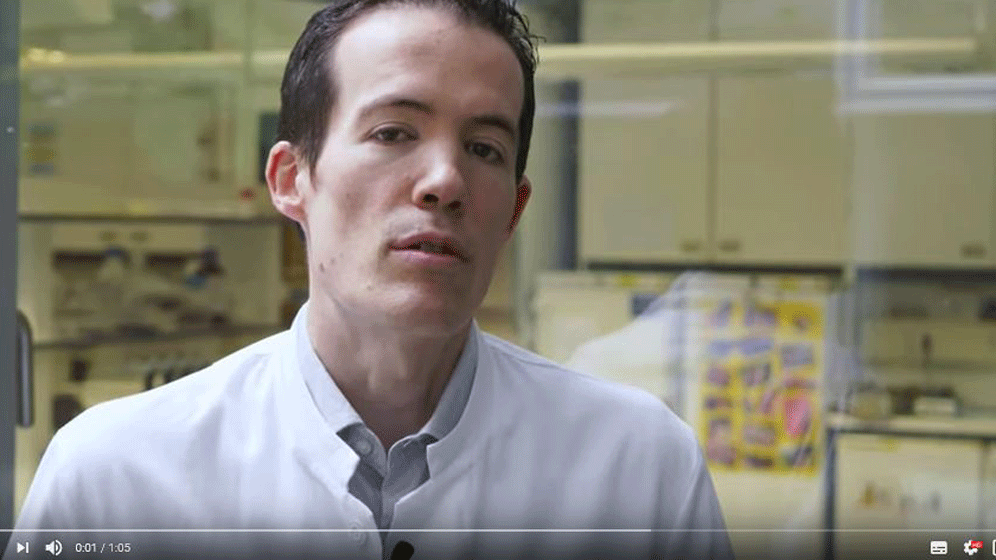 Muenchen.gif Immuntherapie