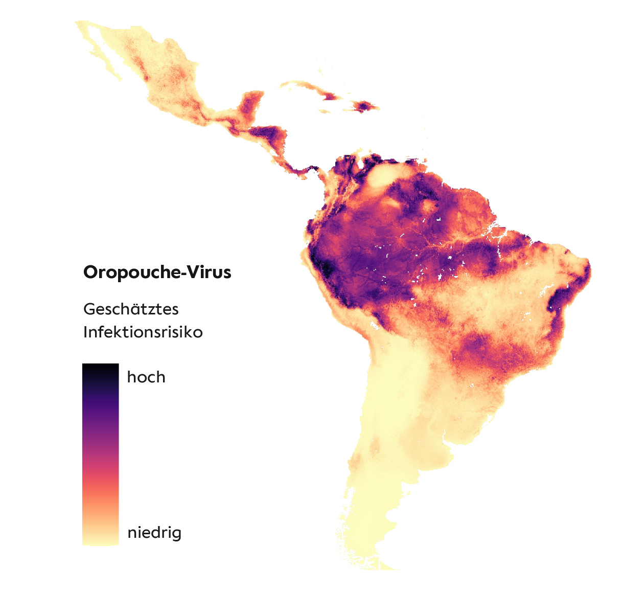newsimage405957.jpg Geschätztes Grundrisiko einer Infektion mit dem Oropouche-Virus in Lateinamerika.