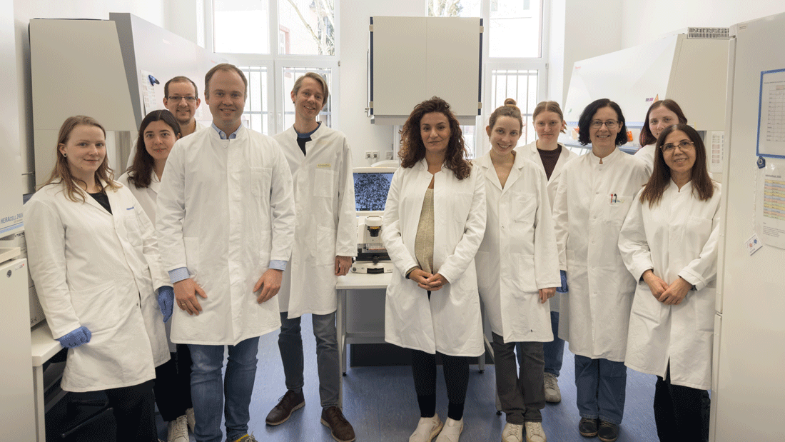 Die AG Farin im Labor newsimage405999.gif