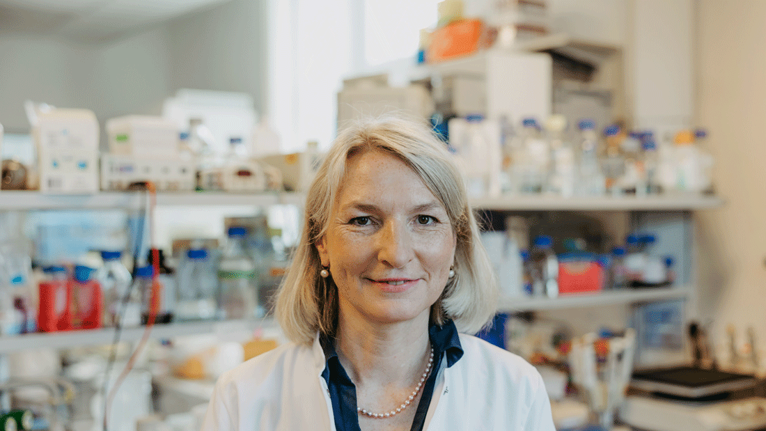 newsimage421466.gif Prof. Dr. Monika Brunner-Weinzierl, Leiterin der Experimentellen Pädiatrie und Neonatologie der Otto-von-Guericke-Universität Magdeburg